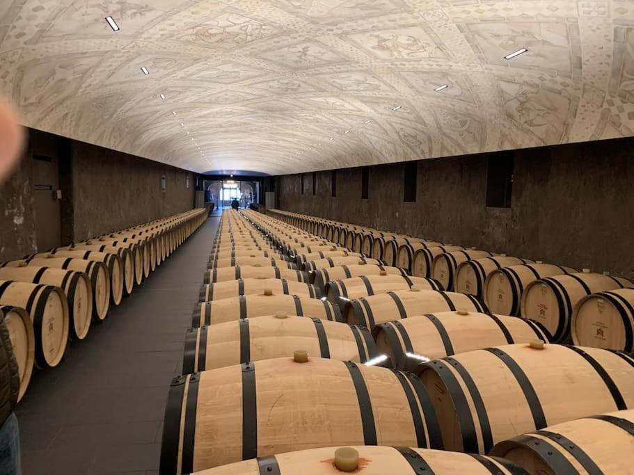 Studio Confortable Aux Portes De Bordeaux Et Medoc Ludon-Médoc Dış mekan fotoğraf